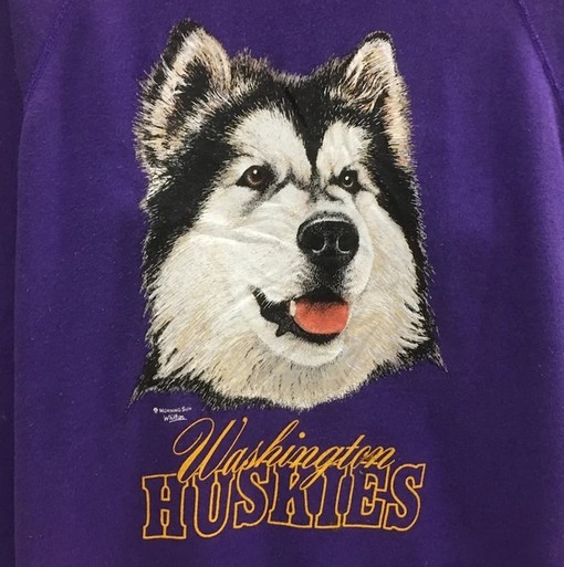 Vintage Washington Huskies Football Team Sweatshirt, NCAA College Shirt - Image 2