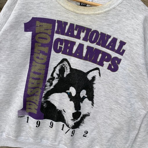 Vintage Washington Huskies Sweater, NFL Team Champs Graphic, Classic College Shirts for Men - Image 2