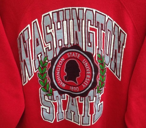 Vintage Washington State University Sweatshirts, Shirt, Hoodie for Cougars Fans - Image 2