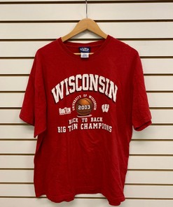 Vintage Wisconsin Badger State Pullover Sweatshirt - Football Fan Shirt - NCAA Gear for College Students