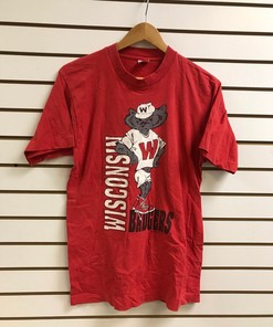 Vintage Wisconsin Badger State Pullover Sweatshirt - NCAA Football Fan Shirt for Sports Lovers