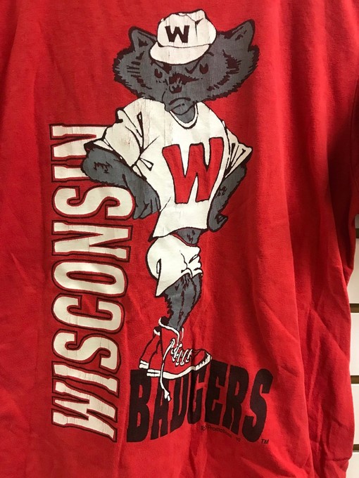 Vintage Wisconsin Badger State Pullover Sweatshirt - NCAA Football Fan Shirt for Sports Lovers - Image 2