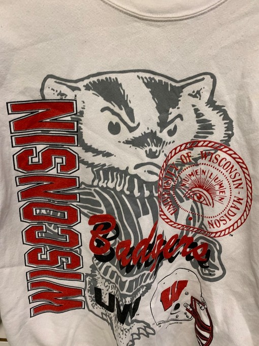Vintage Wisconsin Badger State Pullover Sweatshirt - University Football Fan Apparel for Sports Enthusiasts - Image 2