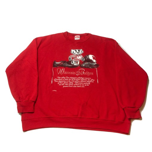 Vintage Wisconsin Badgers Crewneck Sweatshirt, Wisconsin Travel Gift, University Student Gift with college shirts