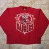 Vintage Wisconsin Badgers Sweatshirt from the 1990s, Wisconsin Travel Gift, University Student Gift