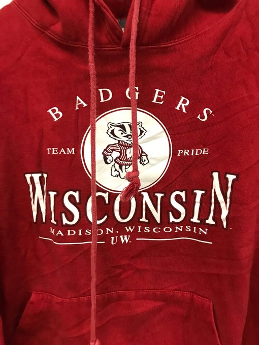 Vintage Wisconsin Badgers Team Pride Hoodie, Wisconsin Travel Gift, University Student Gift with sport shirts unisex - Image 2