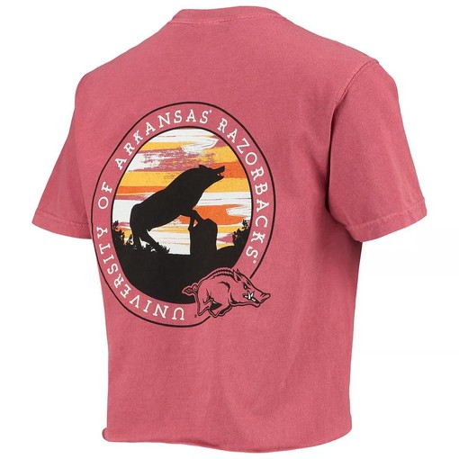 WOCARDINAL Arkansas Razorbacks Circle Scene Comfort Colors Shirt - Hogs Shirt Gifts for Razorbacks Lovers