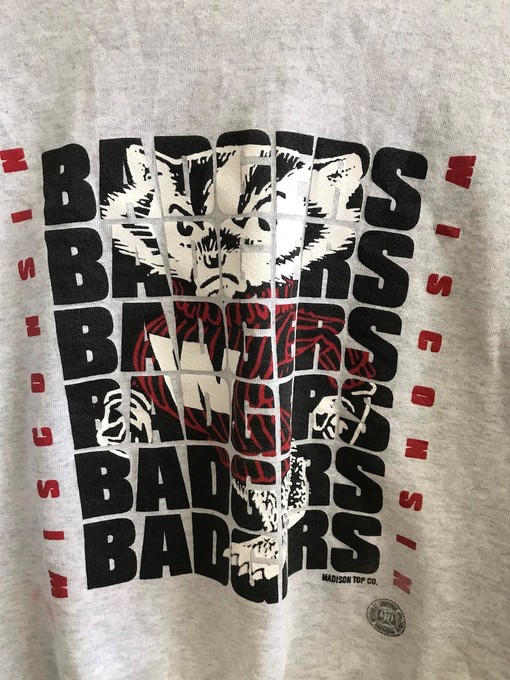 Wisconsin Badger State Pullover Sweatshirt - NCAA Football Fan Gear - Vintage Design for Sports Fanatics - Image 2