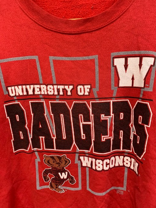 Wisconsin Badger State Pullover Sweatshirt - University Football Fan Apparel for All Games - Image 2