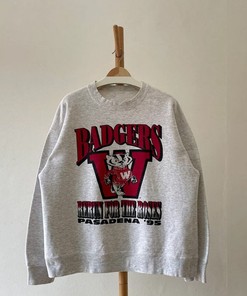 Wisconsin Badgers University Football and Crewneck Sweatshirt in a Vintage Style 1995