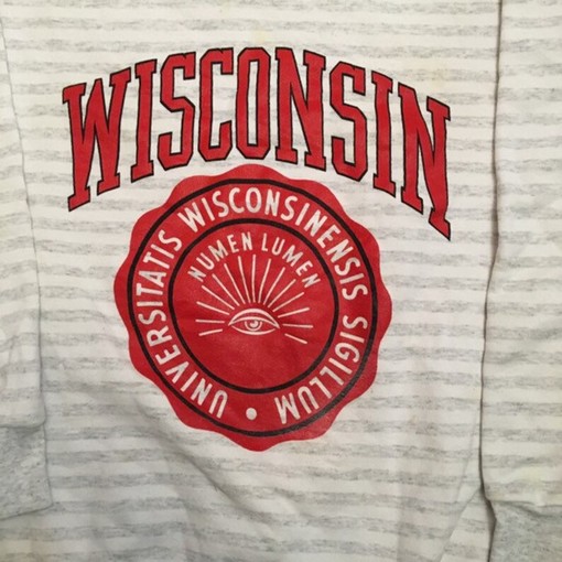 Wisconsin Badgers Vintage Style 1990s Pinstriped Sweatshirt Bundle, Ideal NCAA Gift for Fans with sport shirts girls - Image 2