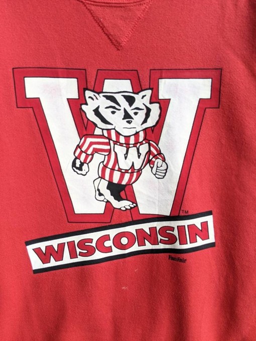 Wisconsin University 90s Vintage Sweatshirt Hoodie Shirt, State University Shirt, NCAA Shirts - Image 2