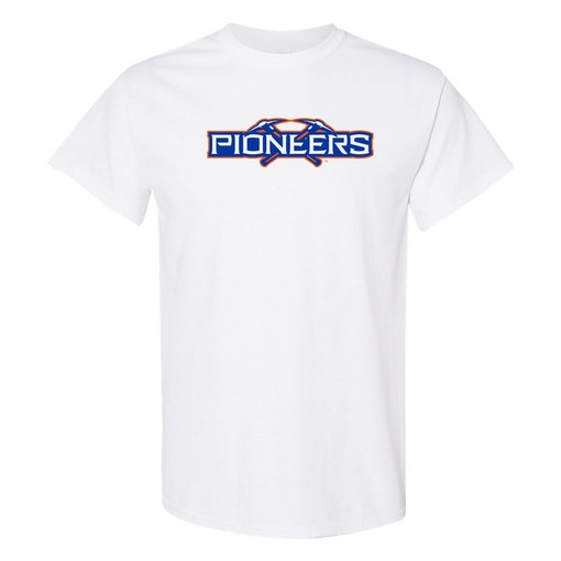 Wisconsin-Platteville Pioneers Basic Block Shirt, Unisex Sweatshirt Hoodie for Fans