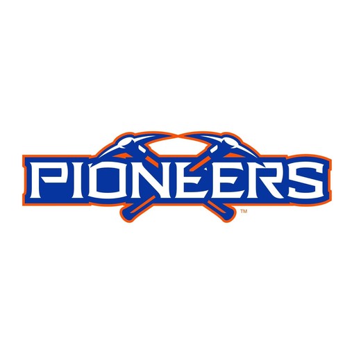 Wisconsin-Platteville Pioneers Basic Block Shirt, Unisex Sweatshirt Hoodie for Fans - Image 2