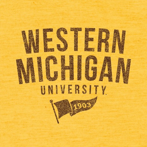 Wisconsin-Platteville Pioneers Basic Block Shirt, Unisex Sweatshirt Hoodie for NCAA Fans - Image 2