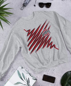Ohio State Buckeyes Graphic Sweatshirt Hoodie for Fans of Vintage Style